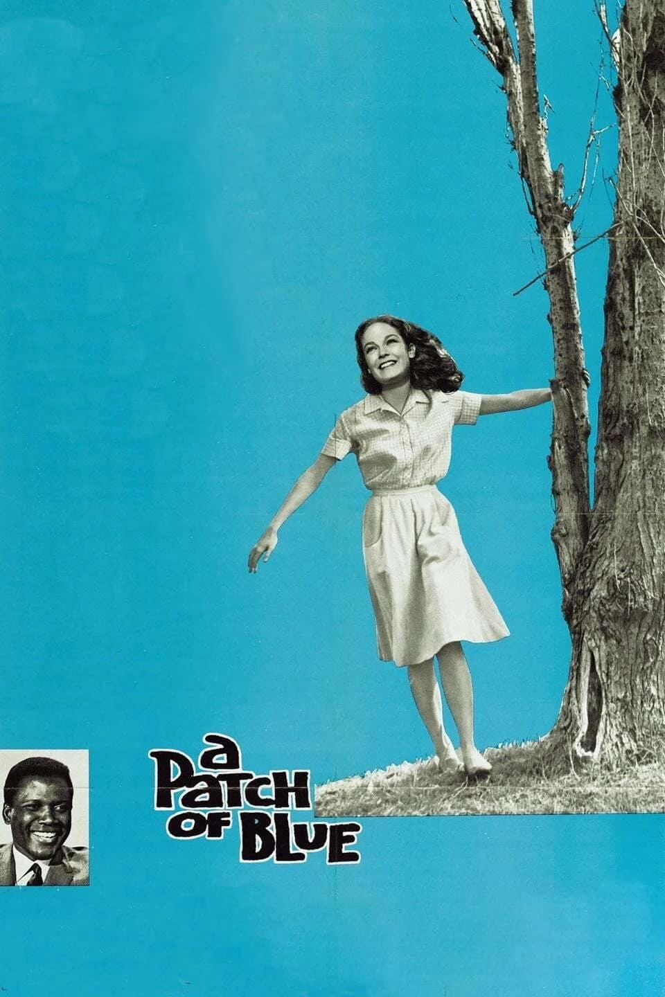 A Patch of Blue | A Patch of Blue (1965) A Patch of Blue | A Patch of Blue (1965)