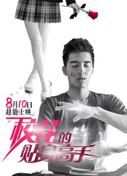 Cao Thủ Cận Vệ Của Hoa Khôi | Mr. Bodyguard (2015) Cao Thủ Cận Vệ Của Hoa Khôi | Mr. Bodyguard (2015)