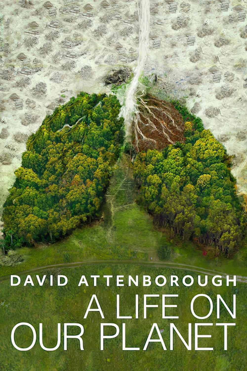 David Attenborough: Một cuộc đời trên Trái Đất | David Attenborough: A Life on Our Planet (2020) David Attenborough: Một cuộc đời trên Trái Đất | David Attenborough: A Life on Our Planet (2020)