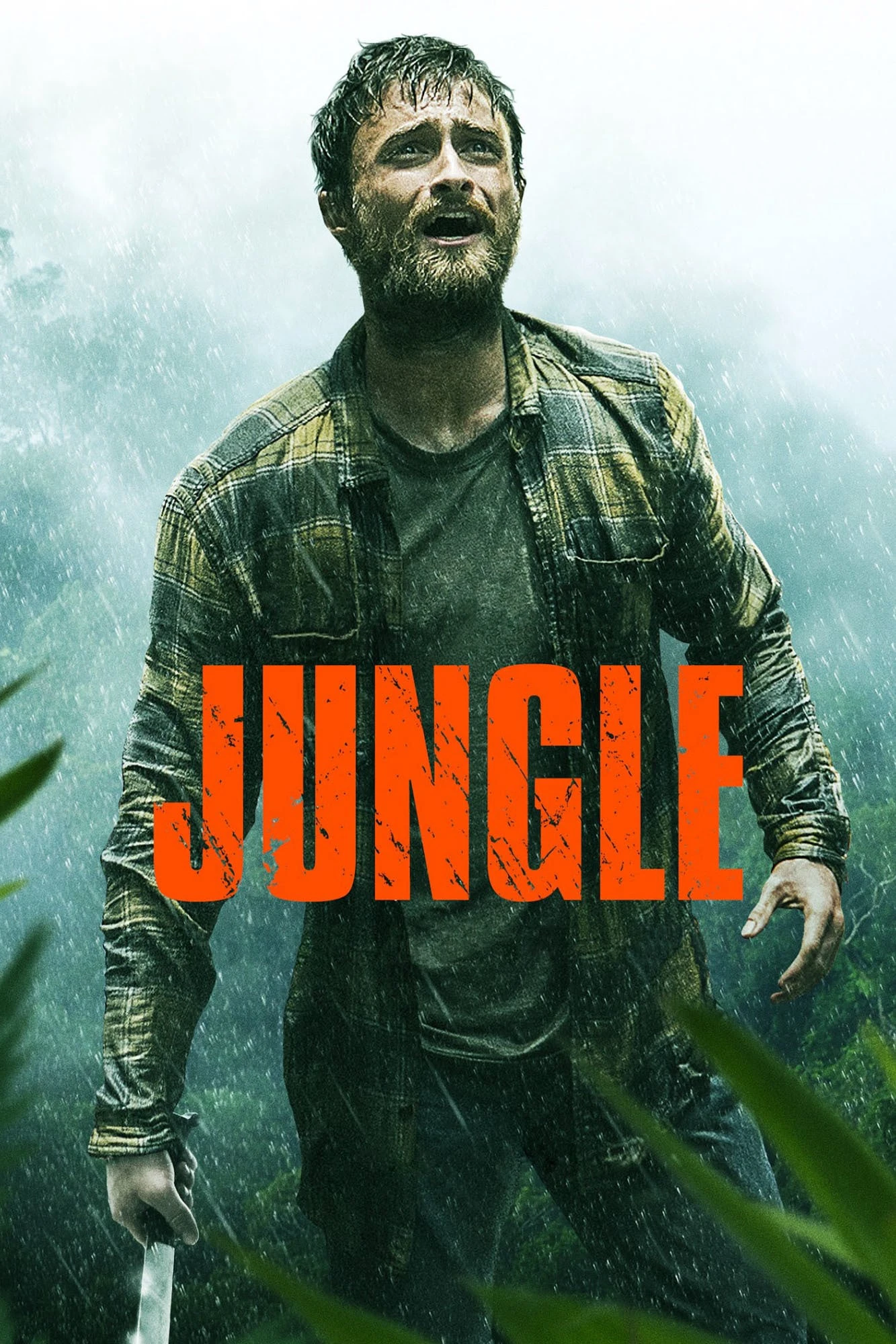 Jungle | Jungle (2017) Jungle | Jungle (2017)