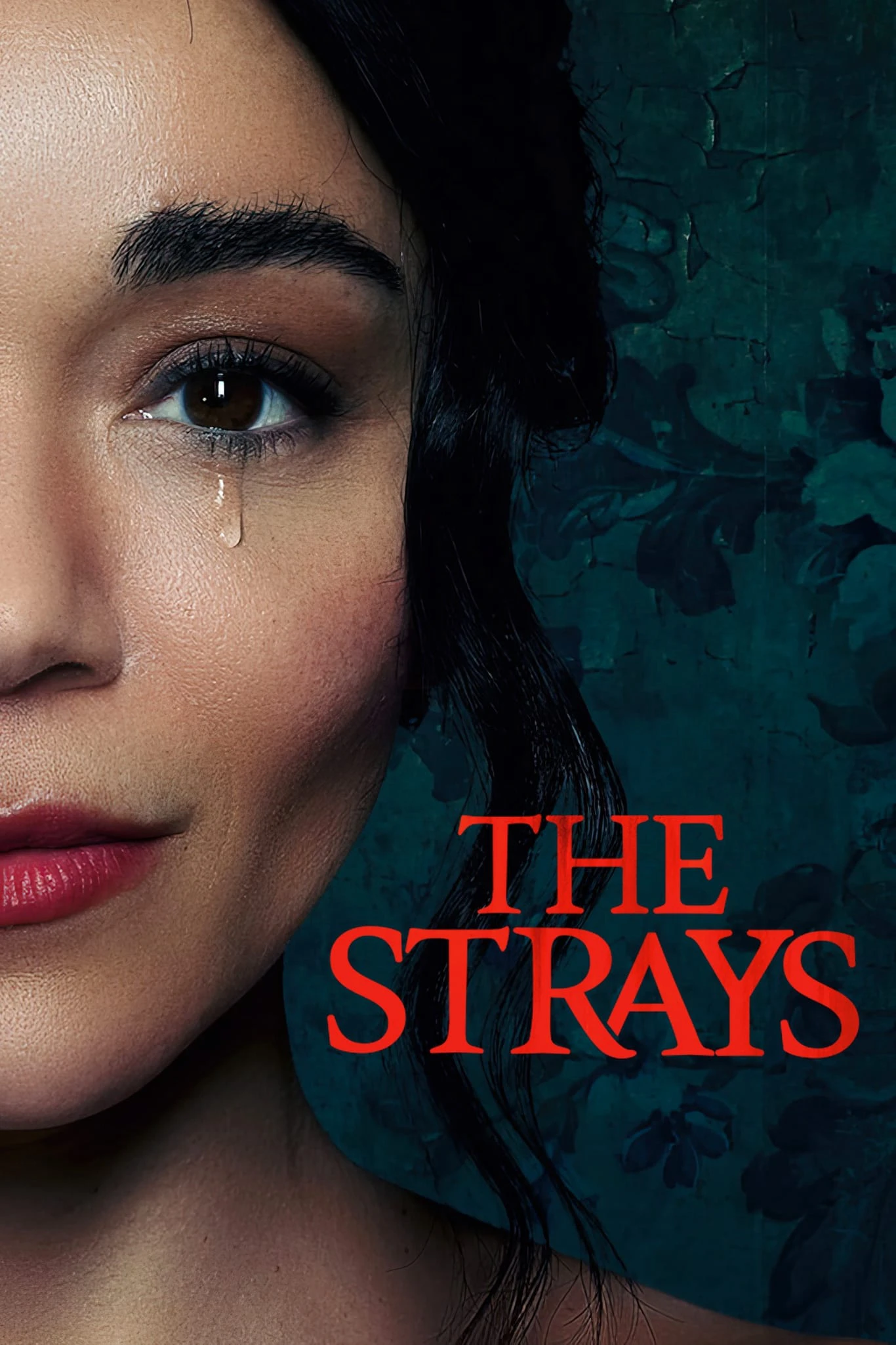 Kẻ lạc đường | The Strays (2023) Kẻ lạc đường | The Strays (2023)
