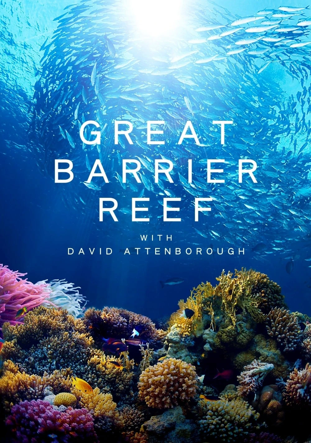 Khám Phá Rạn San Hô Great Barrier cùng David Attenborough | Great Barrier Reef with David Attenborough (2015) Khám Phá Rạn San Hô Great Barrier cùng David Attenborough | Great Barrier Reef with David Attenborough (2015)