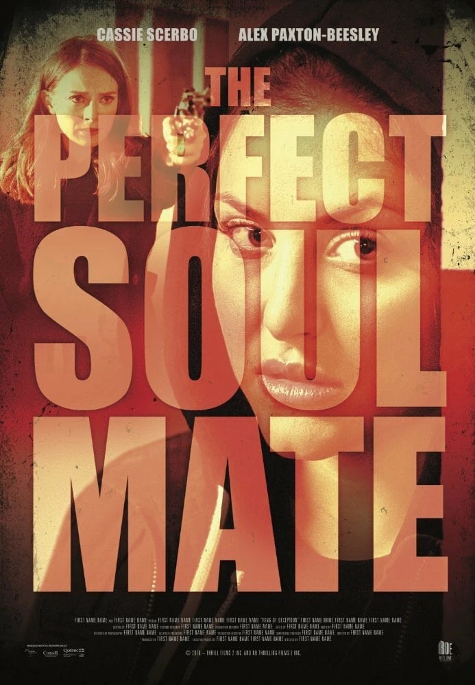 Người Bạn Tâm Giao | The Perfect Soulmate (2017) Người Bạn Tâm Giao | The Perfect Soulmate (2017)