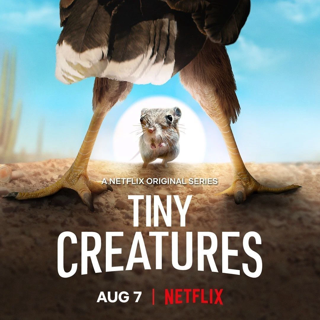 Những sinh vật tí hon | Tiny Creatures (2020) Những sinh vật tí hon | Tiny Creatures (2020)