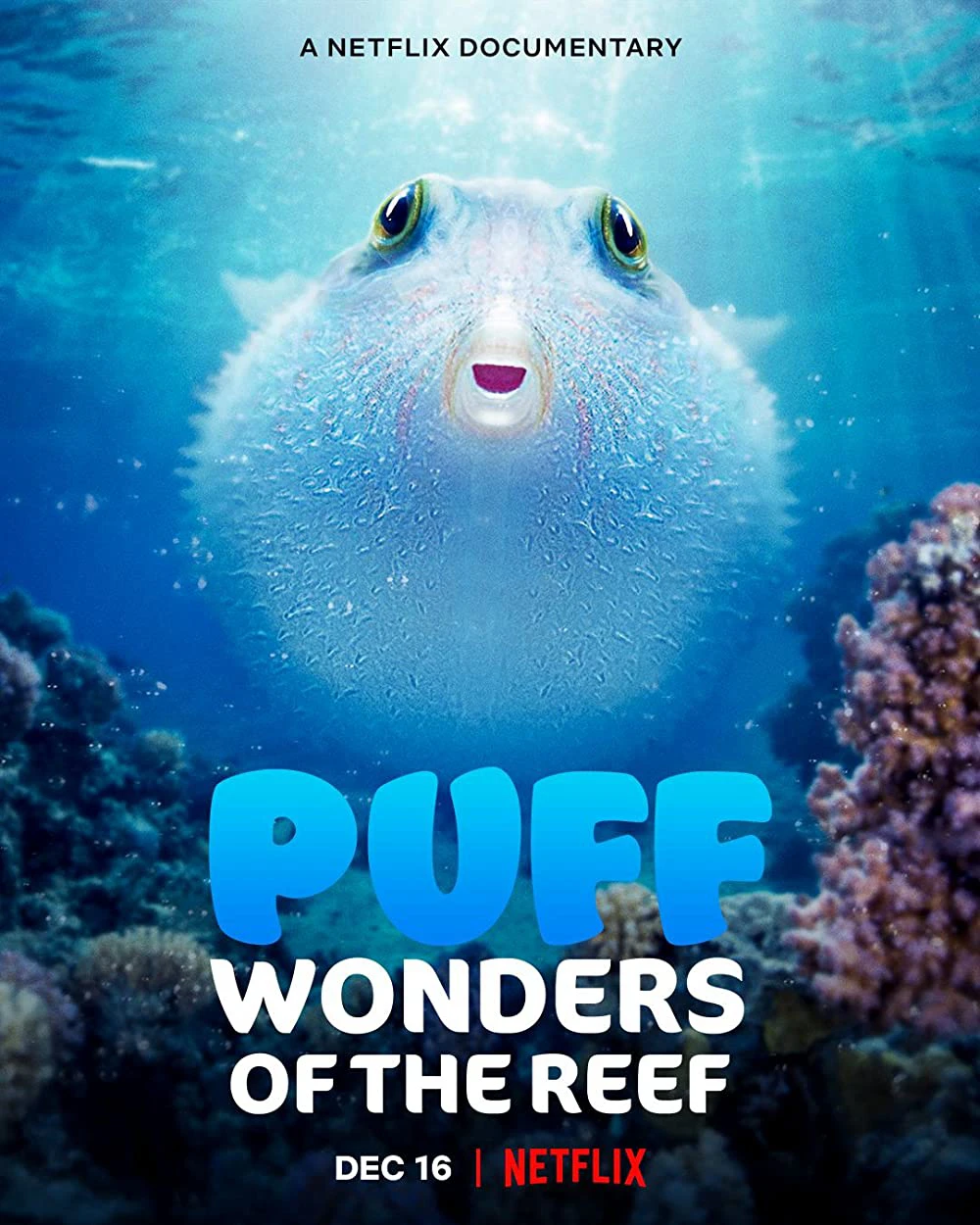 Puff: Rạn san hô kỳ diệu | Puff: Wonders of the Reef (2021) Puff: Rạn san hô kỳ diệu | Puff: Wonders of the Reef (2021)