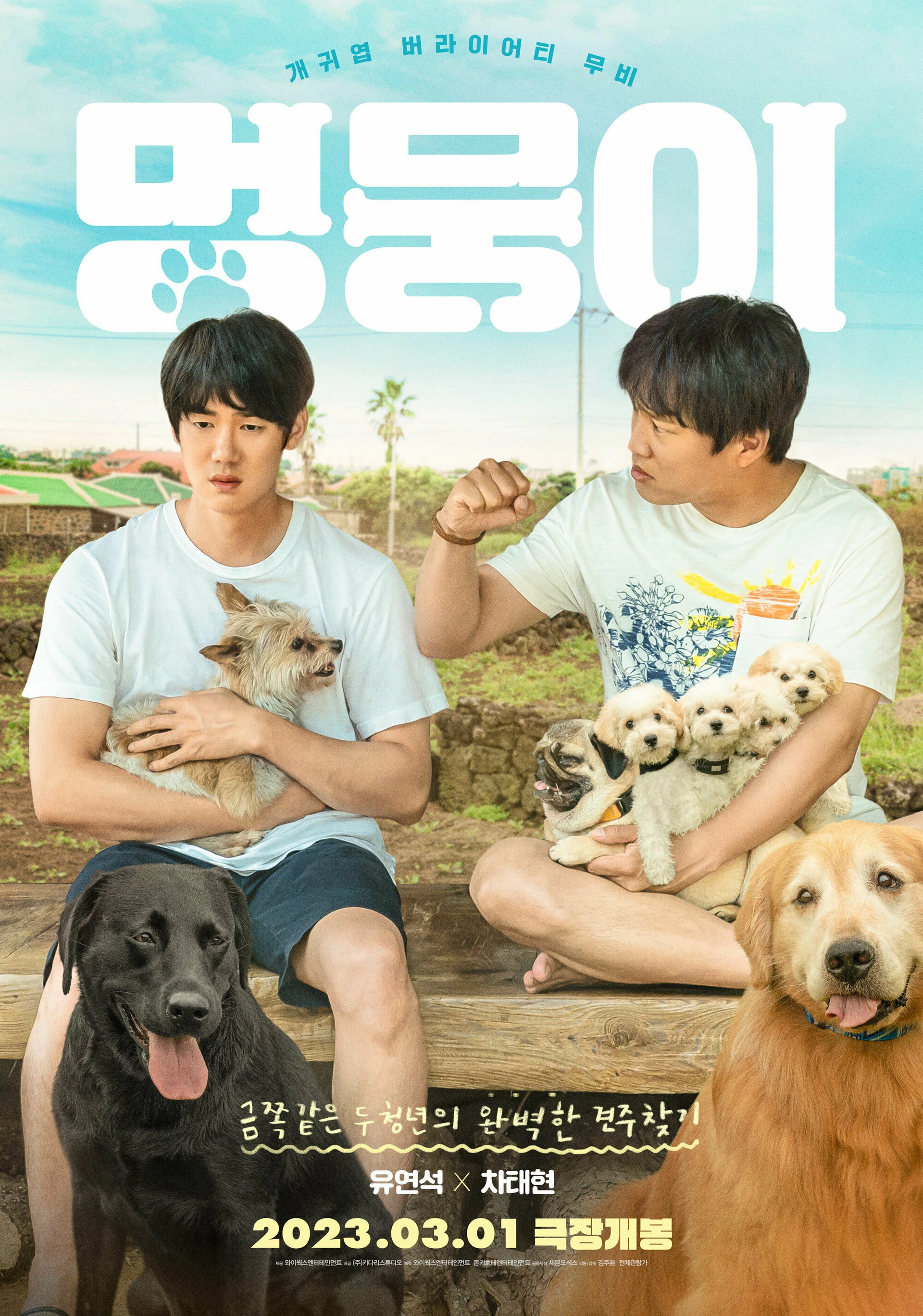 Tìm Nhà Cho Boss | My Heart Puppy (2023) Tìm Nhà Cho Boss | My Heart Puppy (2023)