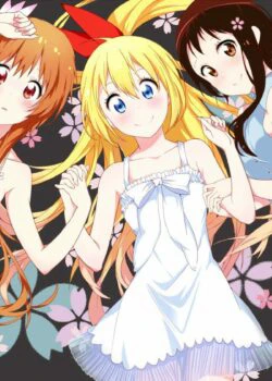 Tình Yêu Ngang Trái | NiseKoi (2013) Tình Yêu Ngang Trái | NiseKoi (2013)